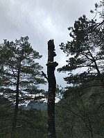 tropd_20200903_5f50db3ec377b.jpg