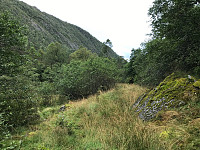 tropd_20200903_5f50db403e0a0.jpg