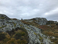 tropd_20200903_5f50db41a45c8.jpg