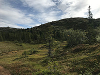 tropd_20200907_5f56511a0d187.jpg