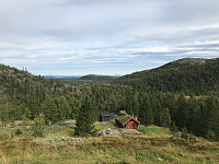 tropd_20200907_5f56511c2aaab.jpg