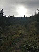 tropd_20200907_5f56511d734cd.jpg