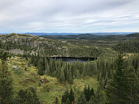 tropd_20200907_5f56511e08bd7.jpg