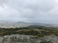 tropd_20200908_5f574724065e0.jpg