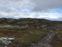tropd_20200908_5f578fa857a74.jpg
