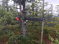 tropd_20200909_5f58f513e600e.jpg
