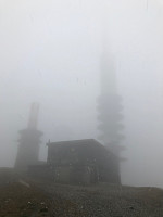 tropd_20200912_5f5cf169b27c8.jpg