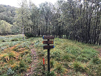 tropd_20200915_5f60b3bfec2c2.jpg