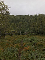 tropd_20200915_5f60b3c0aa0f3.jpg