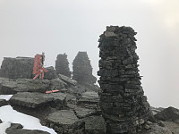 tropd_20200918_5f64fbf5e9f16.jpg