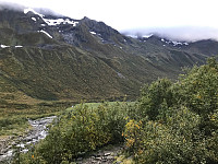 tropd_20200918_5f64fbfd3da7a.jpg