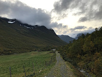 tropd_20200918_5f64fbff91133.jpg