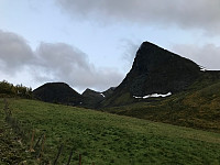 tropd_20200918_5f64fc00c0d4b.jpg