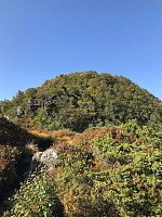 tropd_20200919_5f66107436612.jpg