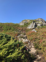 tropd_20200919_5f6610769a8d9.jpg