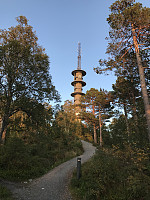 tropd_20200919_5f66487e63e84.jpeg