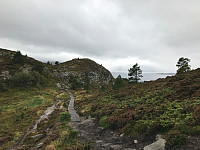 tropd_20200920_5f673bf75626a.jpg