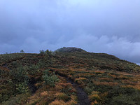 tropd_20200920_5f679843812a6.jpg
