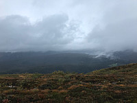 tropd_20200920_5f6798449c8d2.jpg