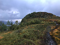tropd_20200920_5f679845d020b.jpg
