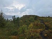 tropd_20200920_5f67984704741.jpg