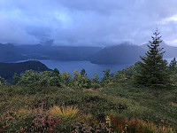 tropd_20200920_5f6798486dd00.jpg