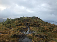 tropd_20200920_5f67984a378f7.jpg