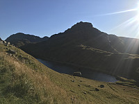 tropd_20200927_5f71015069ea9.jpeg