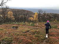 tropd_20201020_5f8f274e8d7b9.jpeg