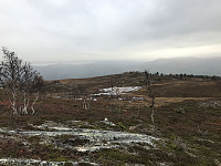 tropd_20201020_5f8f277335347.jpeg
