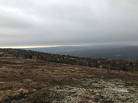 tropd_20201020_5f8f2776ab315.jpeg