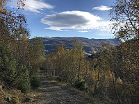 tropd_20201020_5f8f354155236.jpeg