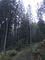tropd_20201020_5f8f376184d5b.jpeg