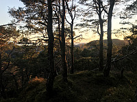 tropd_20201020_5f8f393a512f8.jpeg