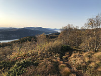 tropd_20201020_5f8f3c993c58f.jpeg