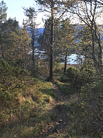 tropd_20201020_5f8f3ce1b4762.jpeg
