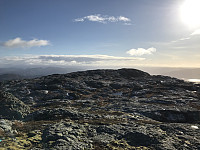 tropd_20201020_5f8f4623b753d.jpeg