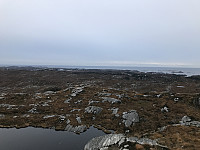 tropd_20201020_5f8f4b752f44d.jpeg