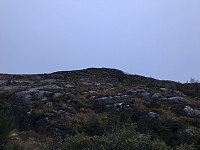 tropd_20201020_5f8f4c8212b6a.jpeg
