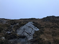 tropd_20201020_5f8f4c88981a9.jpeg