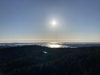 tropd_20210417_607ab1c5ef512.jpeg