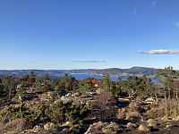 tropd_20210417_607ab1cfbf892.jpeg