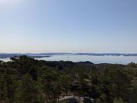 tropd_20210418_607c2727dae97.jpeg