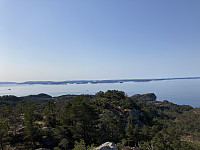 tropd_20210418_607c272a1fe6c.jpeg