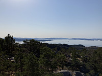 tropd_20210418_607c27336028e.jpeg
