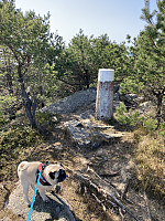 tropd_20210418_607c27411b46a.jpeg