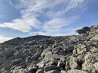 tropd_20210609_60bff0ce599a7.jpeg