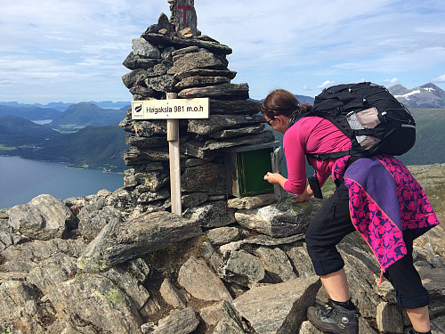 Høgaksla 981m