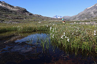 Peder_20200423_5ea1f3b1a13d6.jpeg