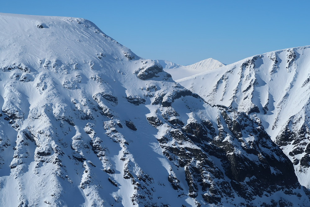 Hestbrepiggane i bakgrunnen